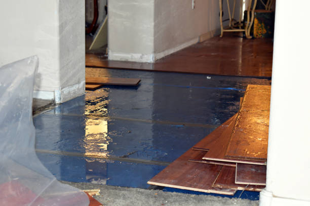 Professional Flood Cleanup technician working in Phelan, CA